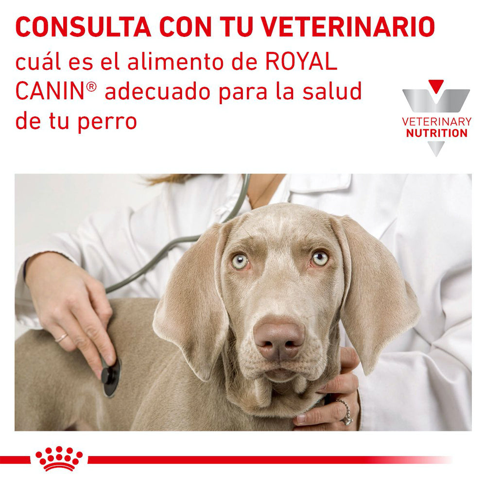 Alimento en Lata Enfermedad Urinaria Tiras en Salsa Calorías Moderadas Royal Canin VET Urinary  SO Moderate Calorie