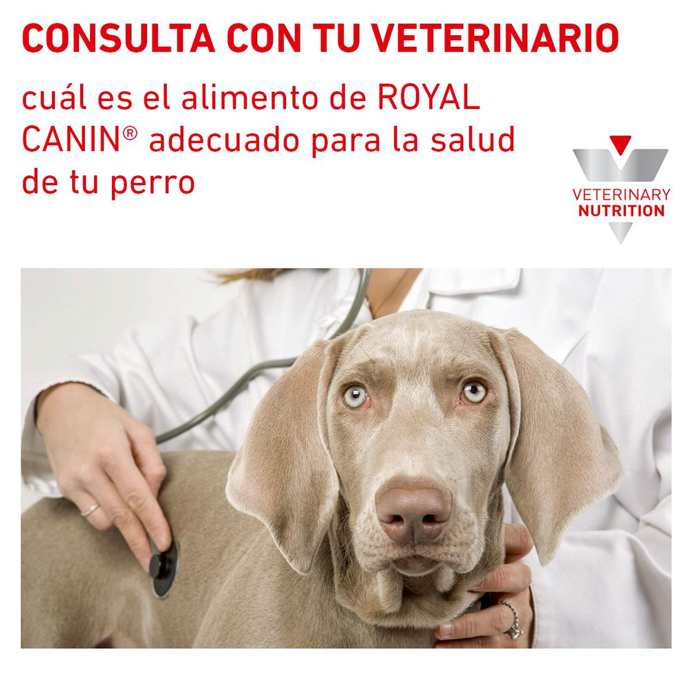 Alimento para Perro Adulto Razas Pequeñas Enfermedad Urinaria Royal Canin VET Urinary Small Dog