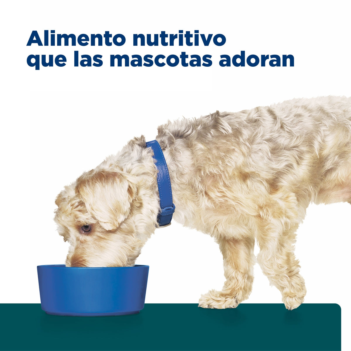 Hill's Prescription Diet w/d Manejo Peso/Glucosa Alimento Seco para Perro