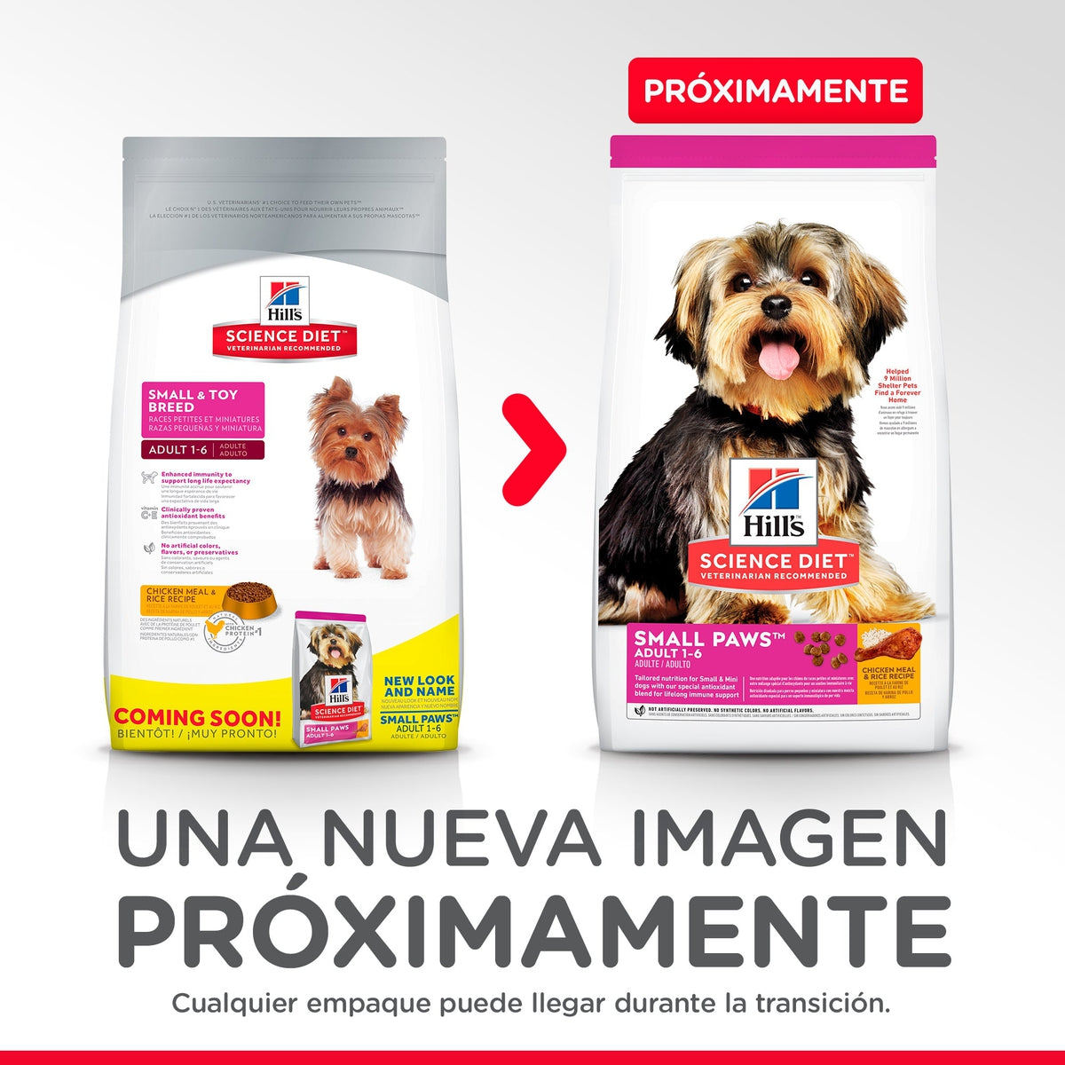 Alimento para Perro Hill's Science Diet Adult Small Paws