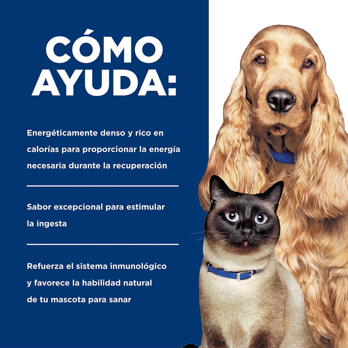 Hill's Prescription Diet a/d Alimento Húmedo para Perro y Gato (Individual)