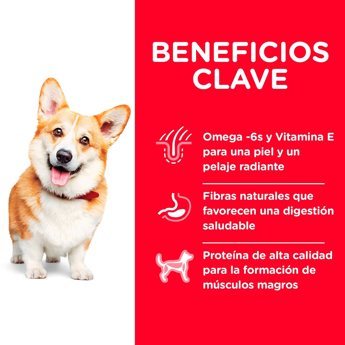 Alimento para Perro Hill's Science Diet Adult Advanced Fitness Small Bites