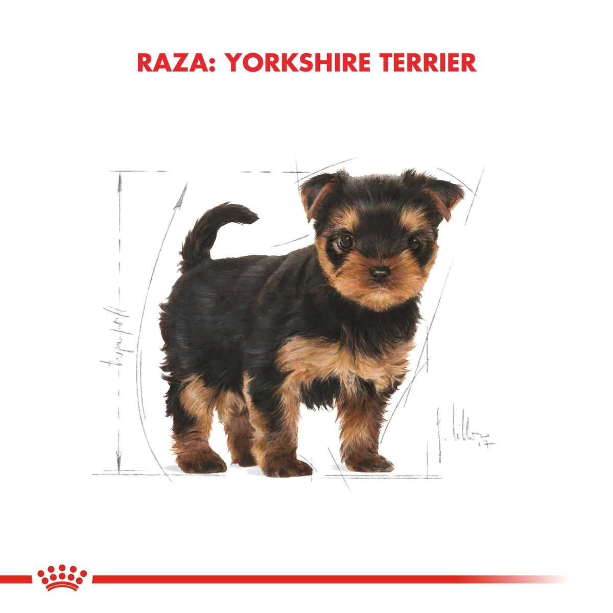 Alimento para Perro Royal Canin BHN Yorkshire Puppy