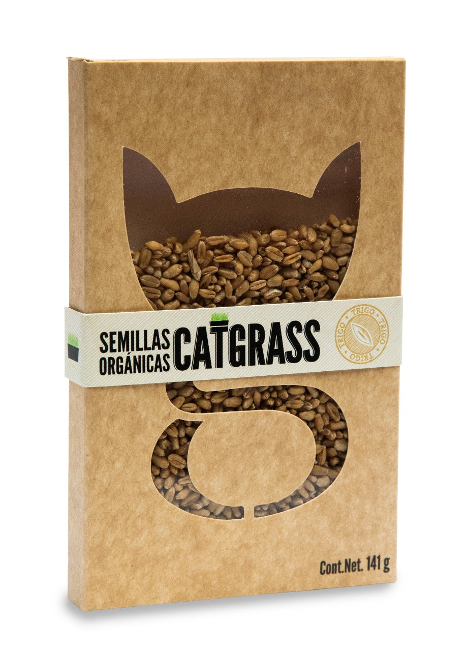Cat Grass La Gatería