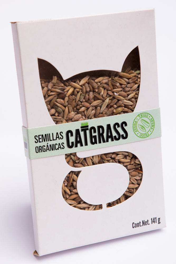 Cat Grass La Gatería