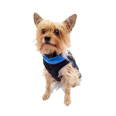 Chaleco Dog Sport Para Perro Pet Pals