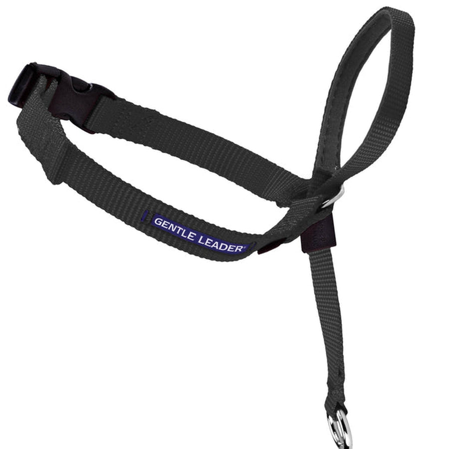 Gentle Leader Head Collar PetSafe