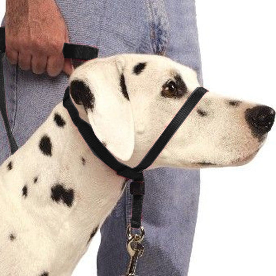 Easy leader clearance head collar