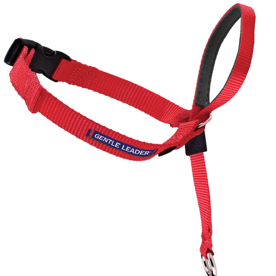 Gentle Leader Head Collar PetSafe