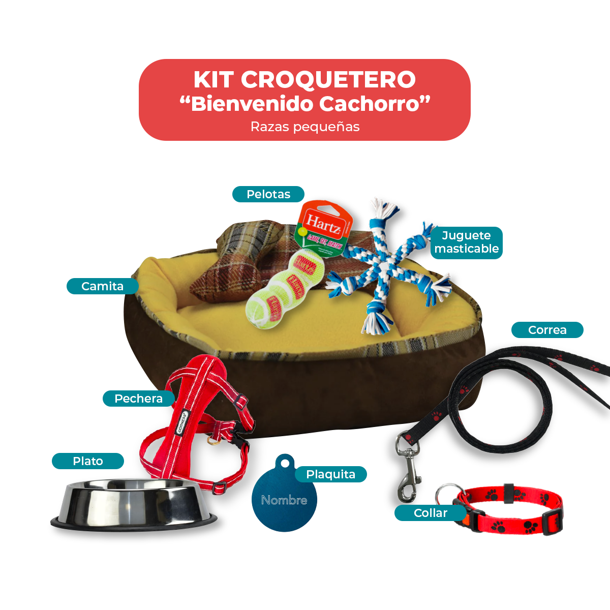 Kit para Nuevo Cachorro Croquetero