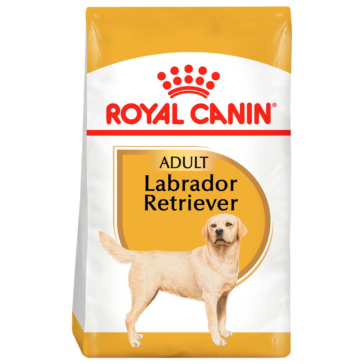 Alimento para Perro Royal Canin BHN Labrador Retriever 30