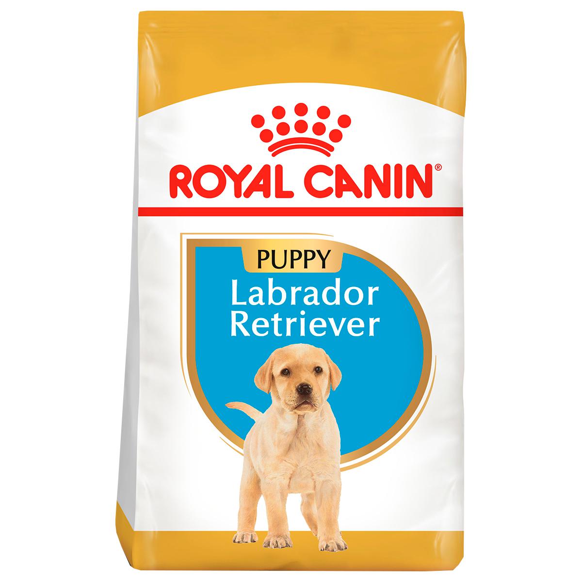 Alimento para Perro Royal Canin BHN Labrador Retriever Puppy