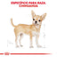 Alimento para Perro Royal Canin BHN Chihuahua 28