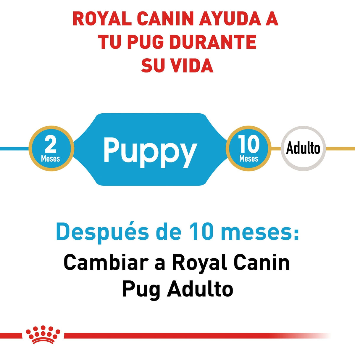 Alimento para Perro Royal Canin BHN Pug 25 Puppy