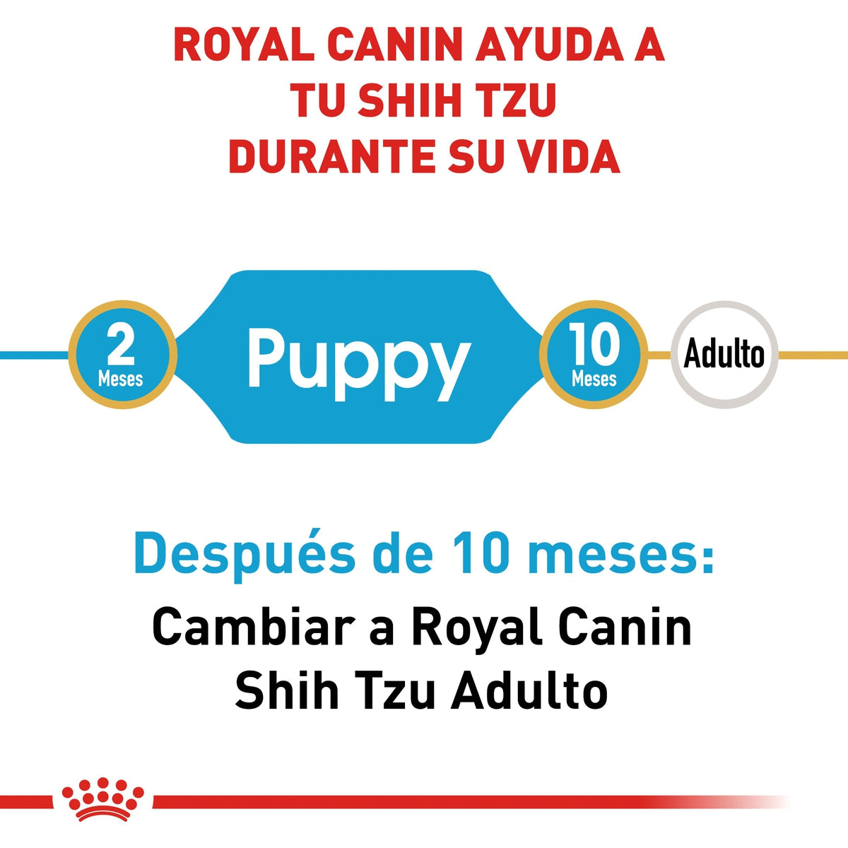 Alimento para Perro Royal Canin BHN Shih Tzu Puppy 24