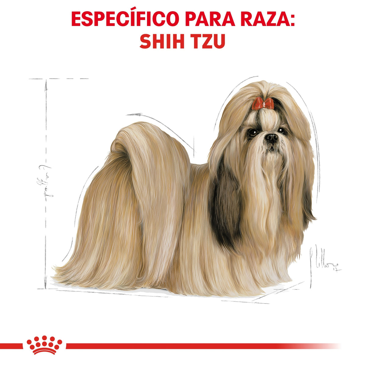 Alimento para Perro Royal Canin BHN Shih Tzu 24