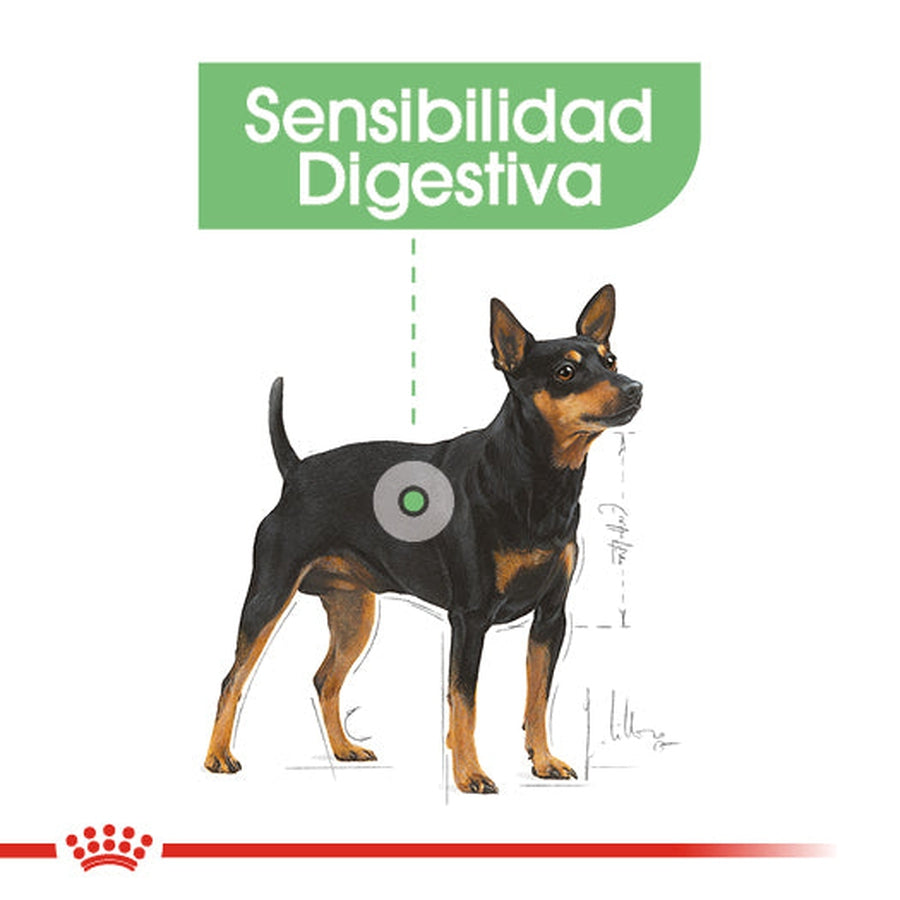 Alimento para Perro Royal Canin SPT Small Digestive Care