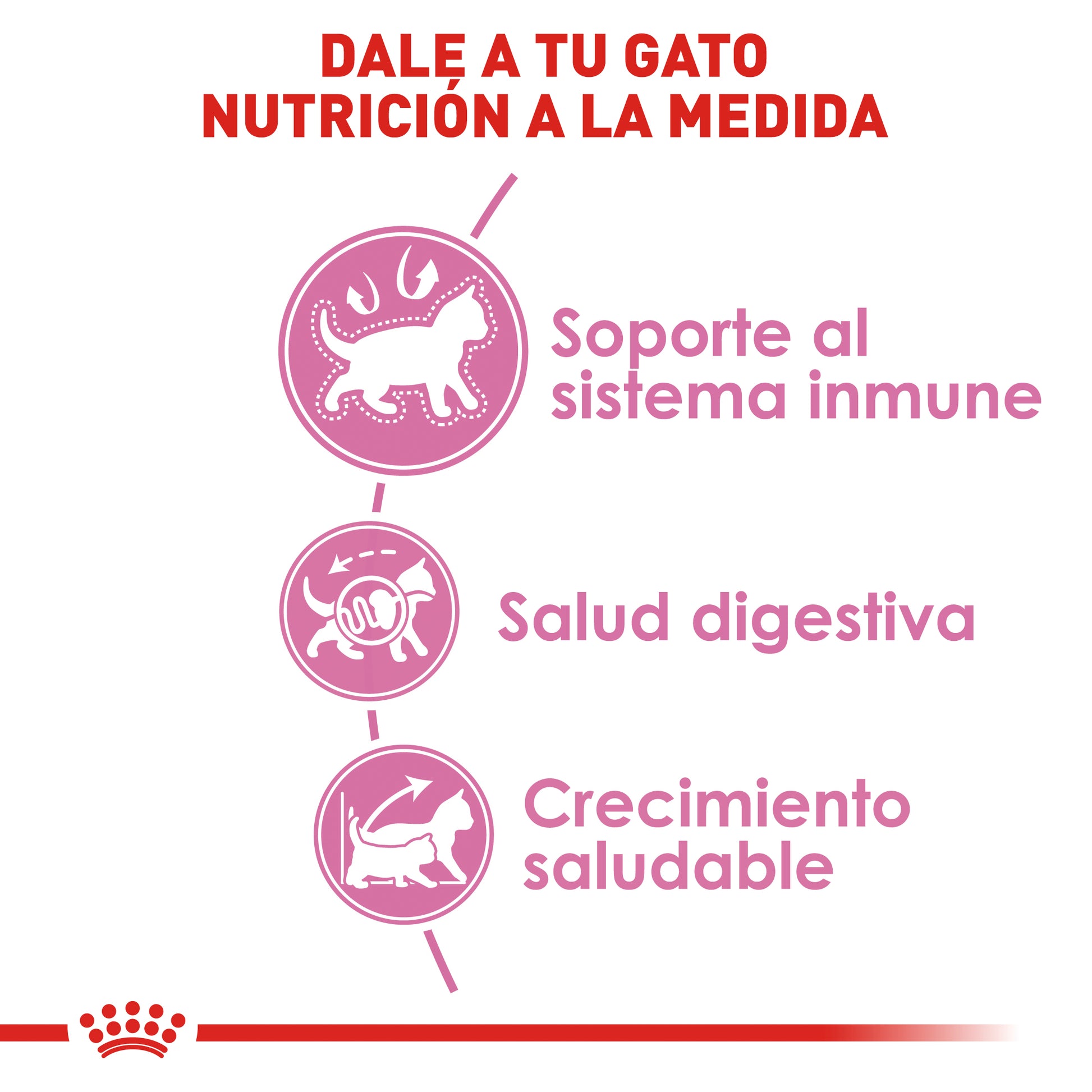 Alimento para Gatito (Kitten) Royal Canin SPT