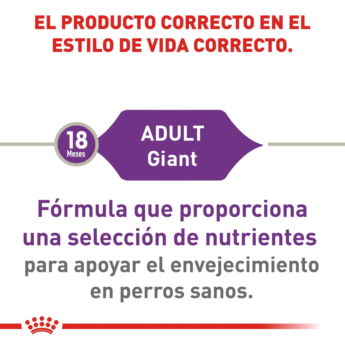 Alimento para Perro Royal Canin Giant Adult