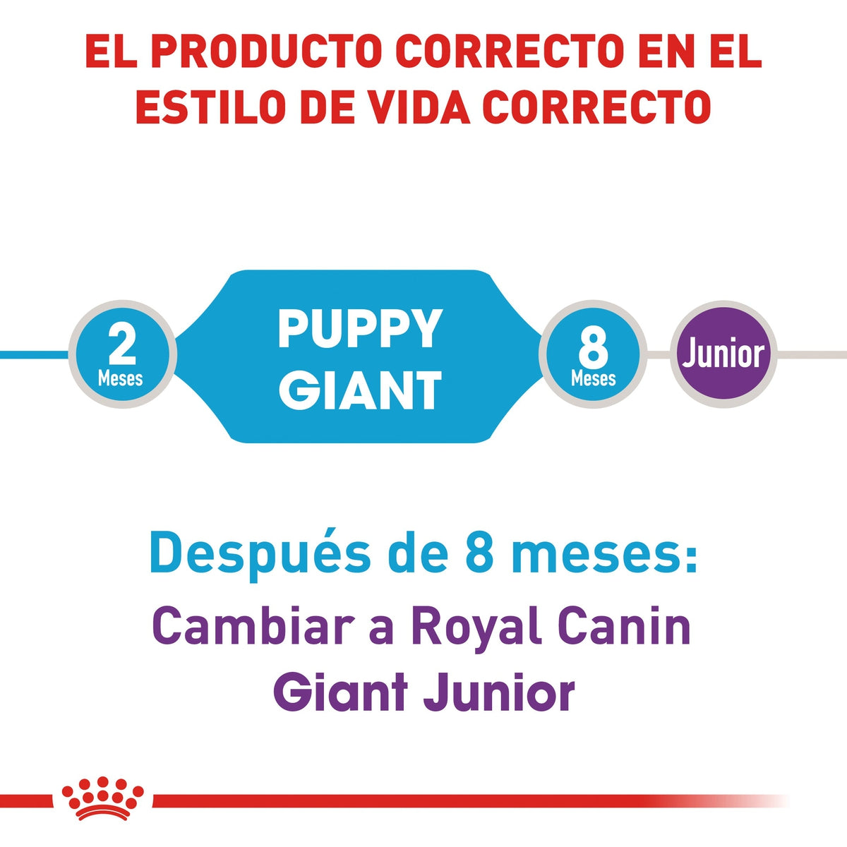 Alimento para Perro Royal Canin Giant Puppy