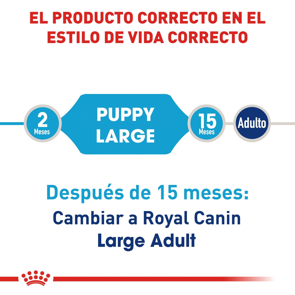 Alimento para Perro Royal Canin SPT Large (Maxi) Puppy