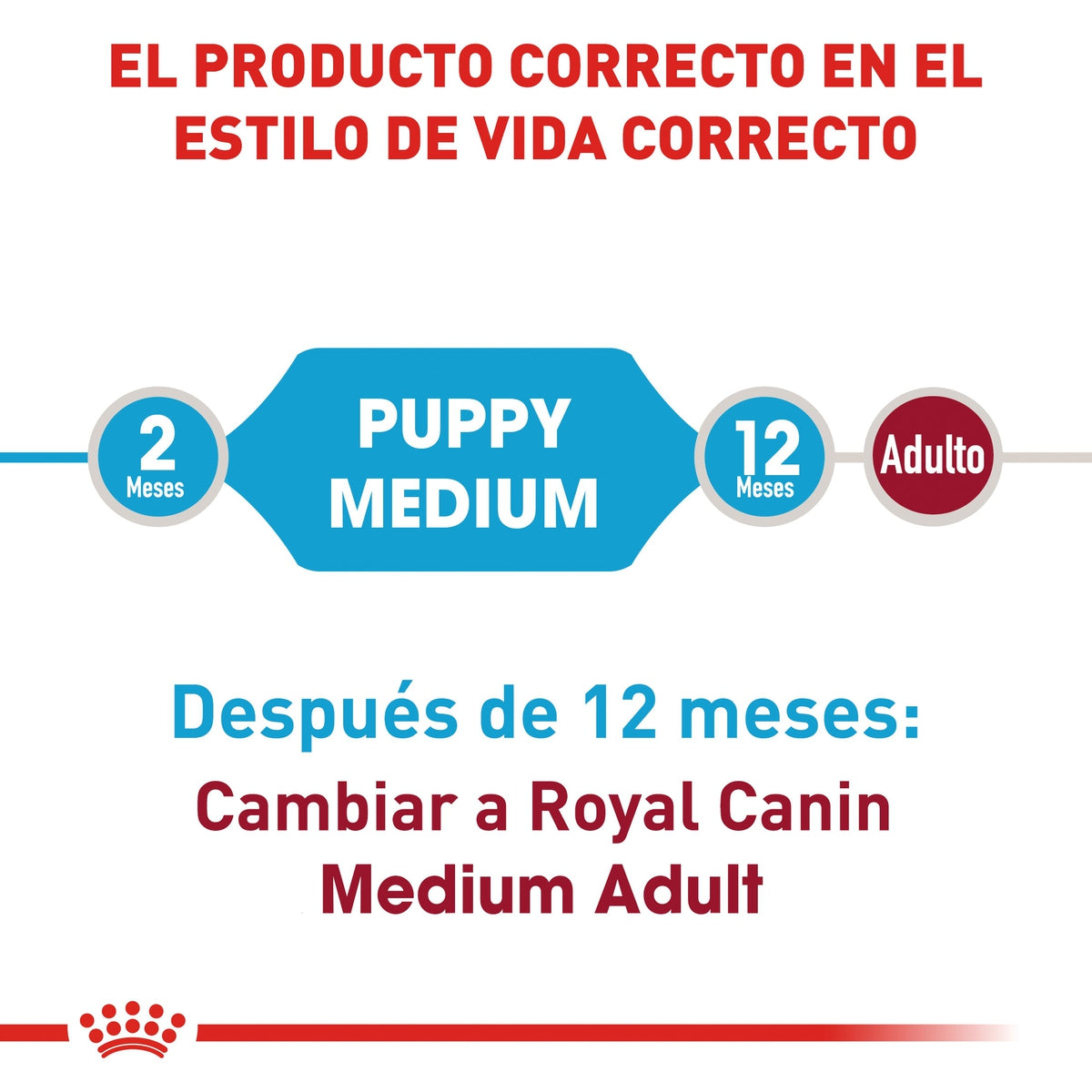 Alimento para Perro Royal Canin SPT Medium Puppy