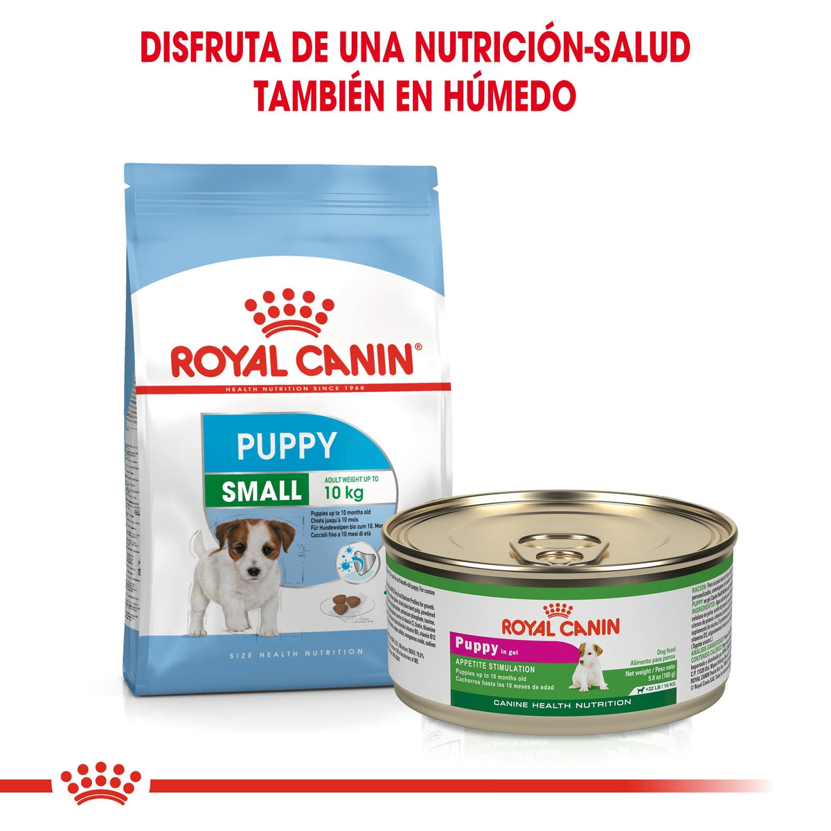 Alimento para Perro Small Puppy Royal Canin SPT