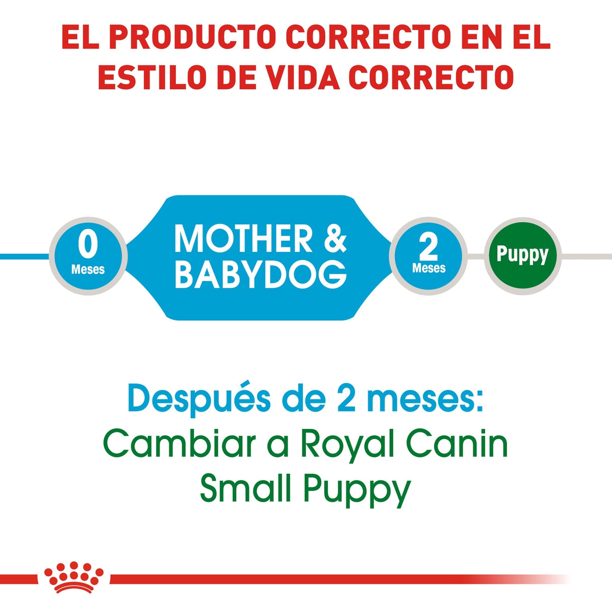 Alimento para Perro Royal Canin SPT Mini Starter Mother & Baby Dog