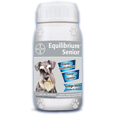 Equilibrium Senior Bayer