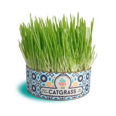 Catgrass Un Dos Treats