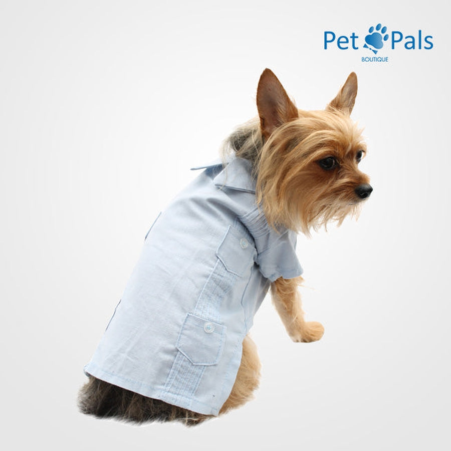 Guayabera 2024 for dogs