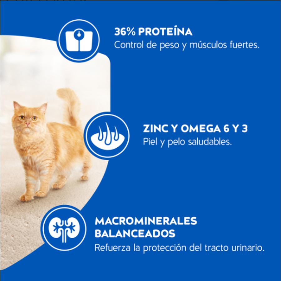 Purina Cat Chow Adultos Esterilizados Defense Plus Alimento Seco 1.5 Kg