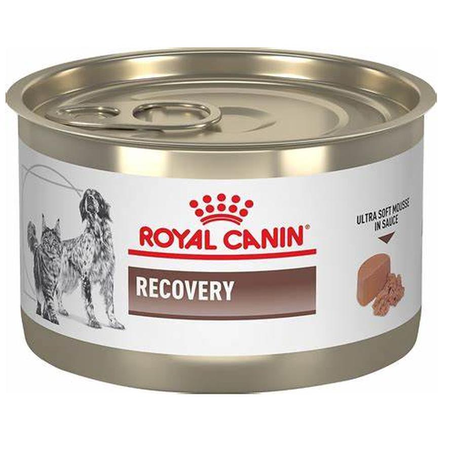Lata Royal Canin Recovery RS