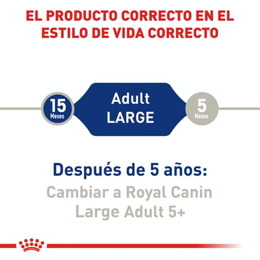 Alimento para Perro Royal Canin SPT Large Adult