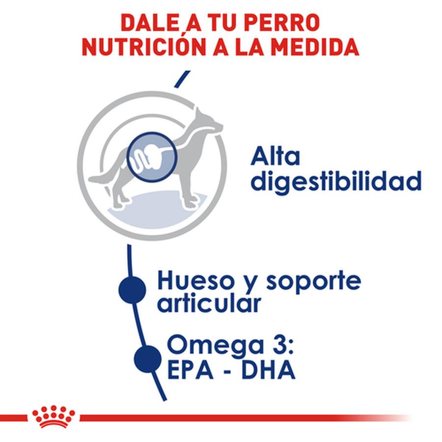 Alimento para Perro Royal Canin SPT Large Adult